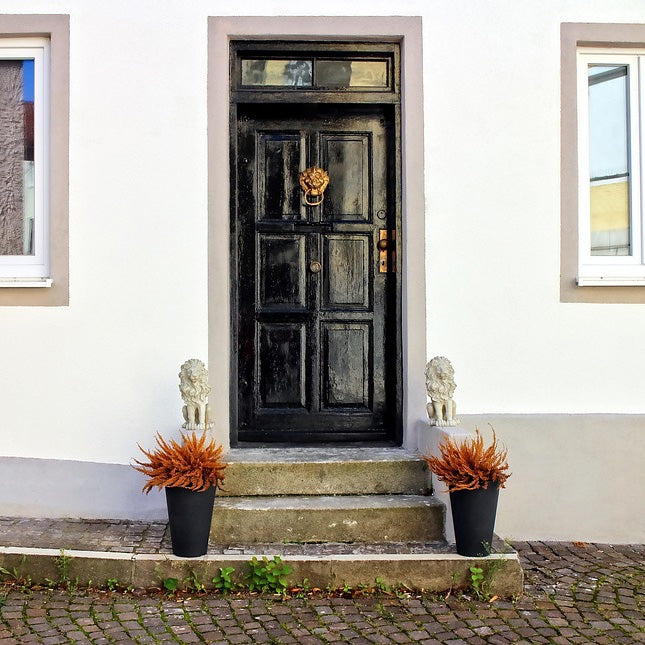 DOOR KNOCKERS