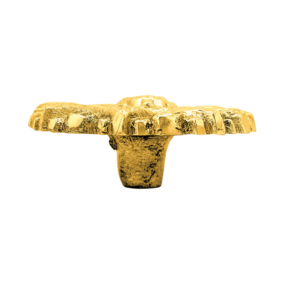 Large Oversized Flower & Petal Solid Brass Cabinet & Furniture Knob