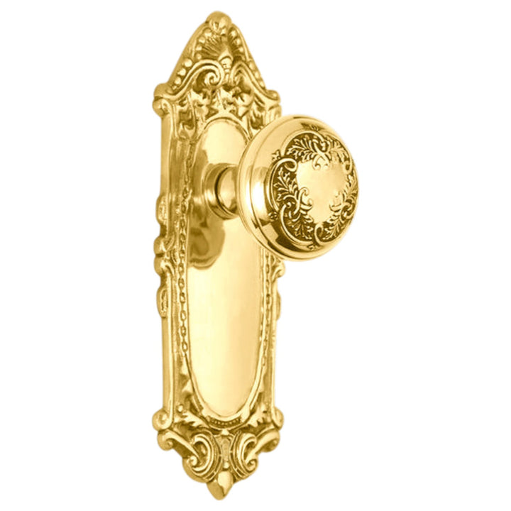 Ornate Victorian Long Backplate Door Set with Floral Leaf Door Knobs (Several Finishes Available)