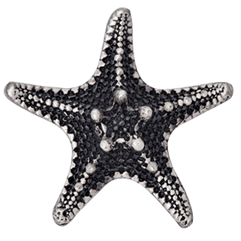 ##Antique Hardware## 1 3/4 Inch  Ocean Seaside Nautical Solid Pewter Decorative Starfish Knob (Satin Pewter Finish)