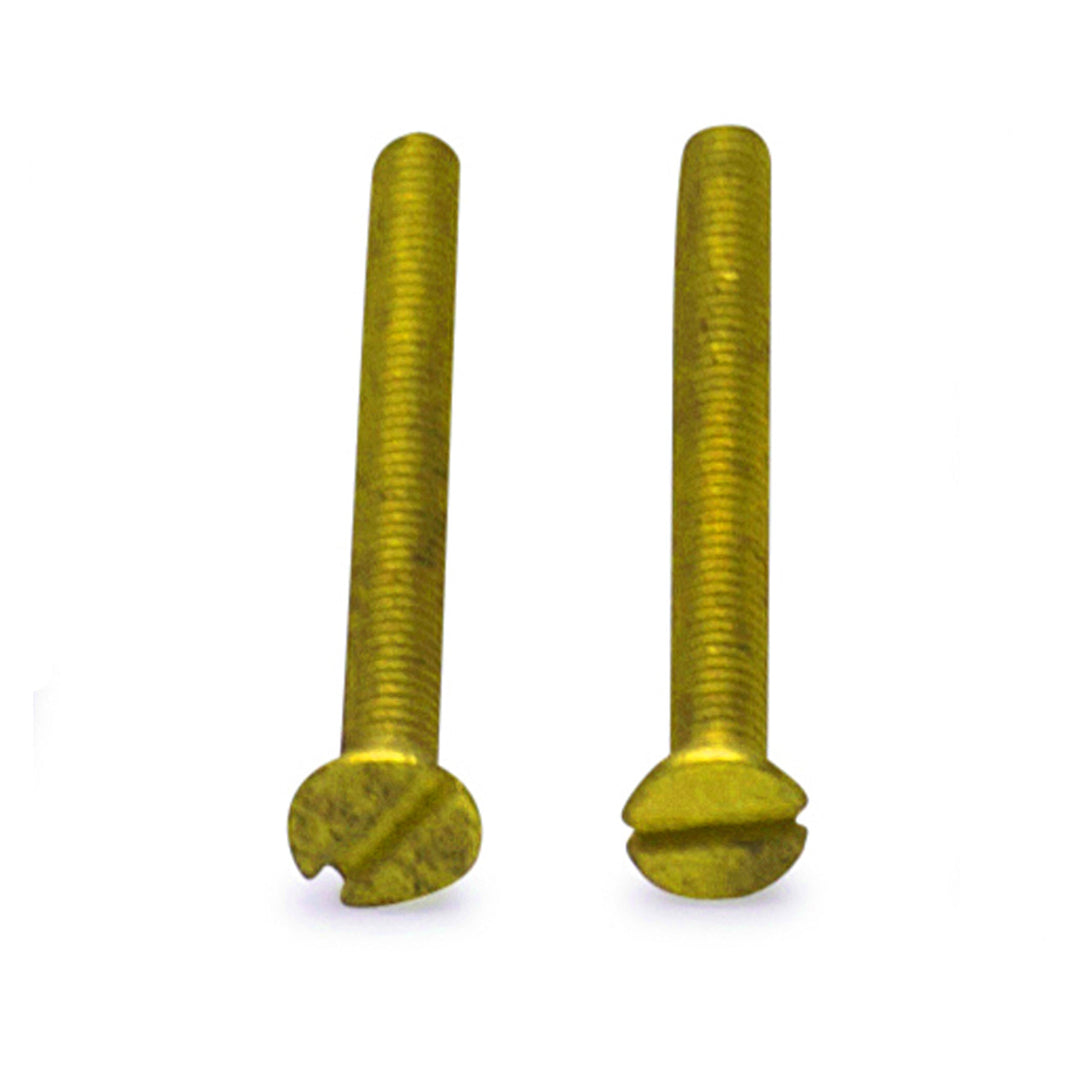 ##Antique Hardware## Pair of Standard Rosette Screws