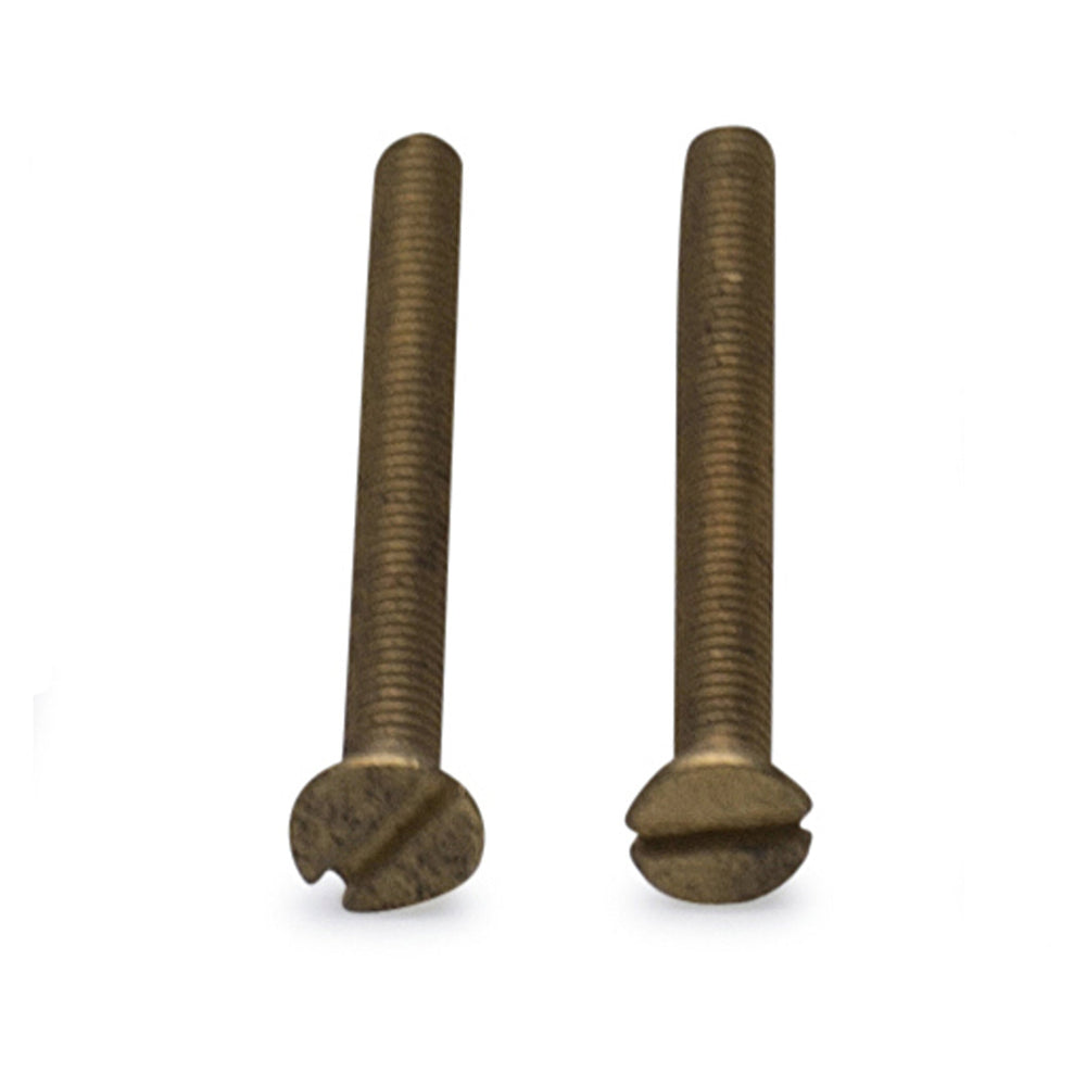 ##Antique Hardware## Pair of Standard Rosette Screws