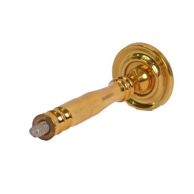 5 Inch Solid Brass Ribbon & Reed Lion Curtain Tie Back (Several Finishes Available)